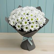 Букет цветов из:  Хризантемы в Усть-Ордынске