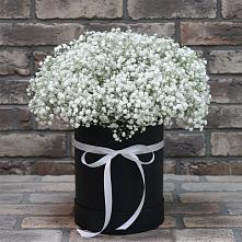 Цветочная композиция из Гипсофила в шляпной коробке #REPLACE_PRED# Усть-Ордынске