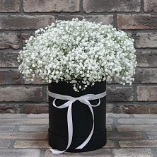 Цветочная композиция из Гипсофила в шляпной коробке в Усть-Ордынске